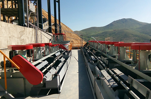 Lead Zinc Beneficiation